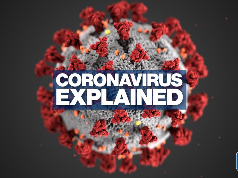 carona-virus-explain