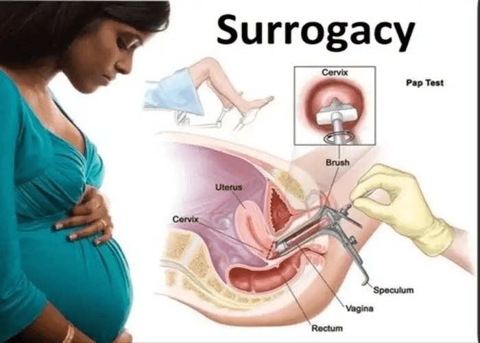 Surrogacy Clinics process