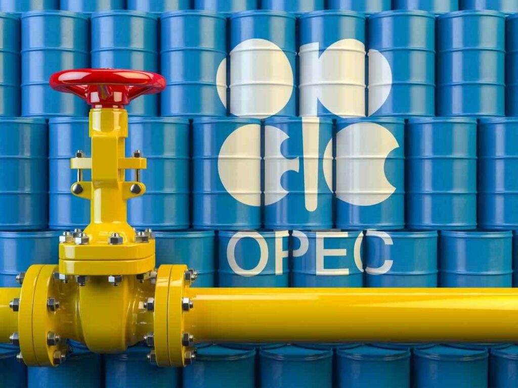 OPEC in HIndi