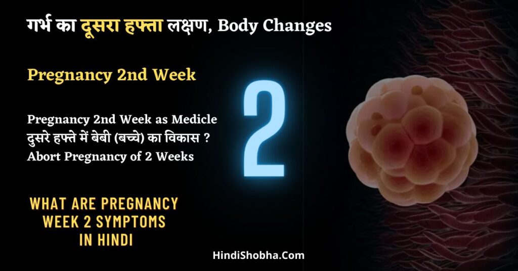 Pregnancy Week 2 Symptoms