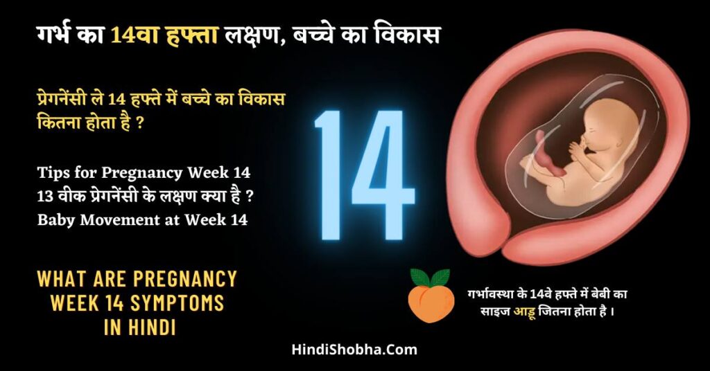 Pregnancy Week 14 Symptoms in Hindi